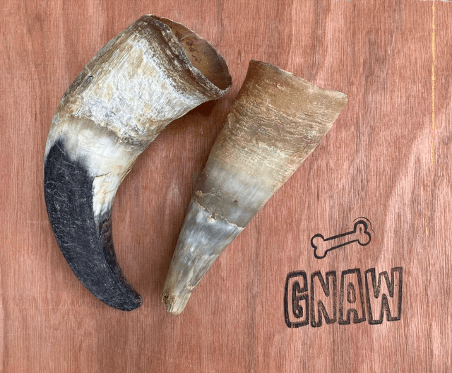 Cow Horn