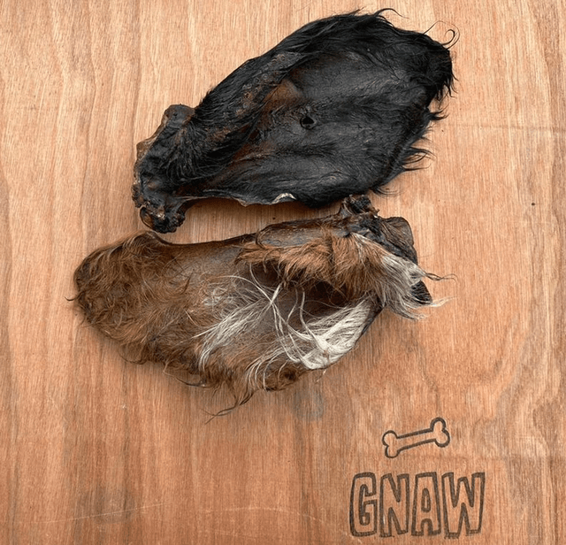 Hairy Cow Ear